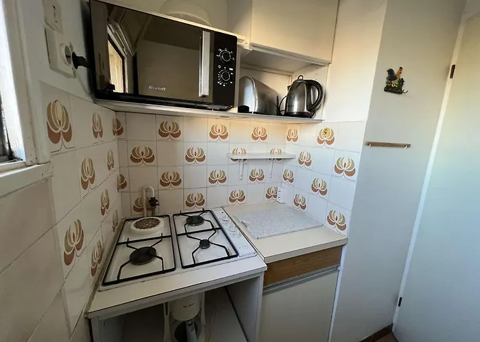 2 Pieces Proche Plage, Parking, Animaux Admis - Fr-1-702-47 *